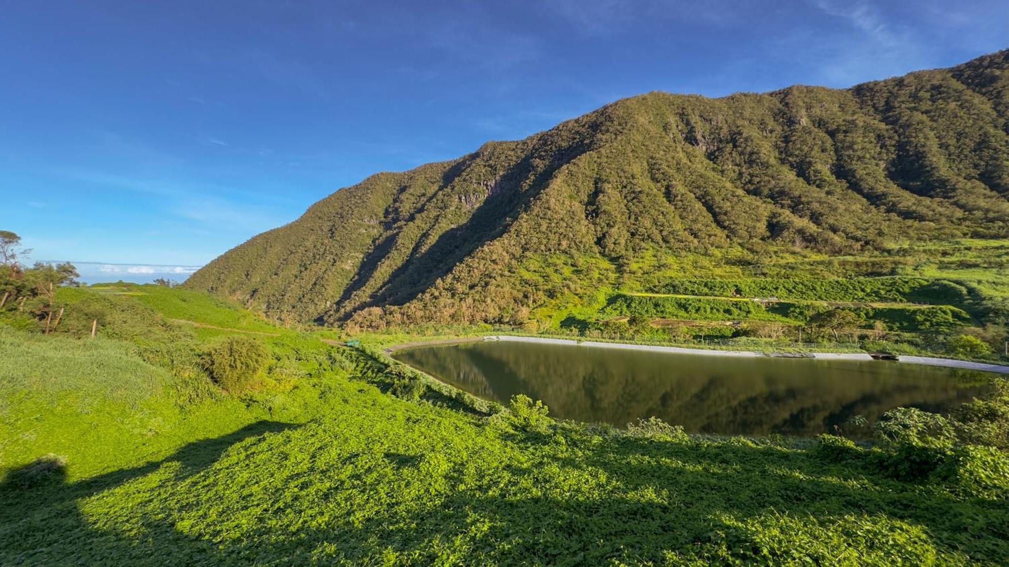 La Villa Dos D'Ane ลาโปเซซิยง ภายนอก รูปภาพ