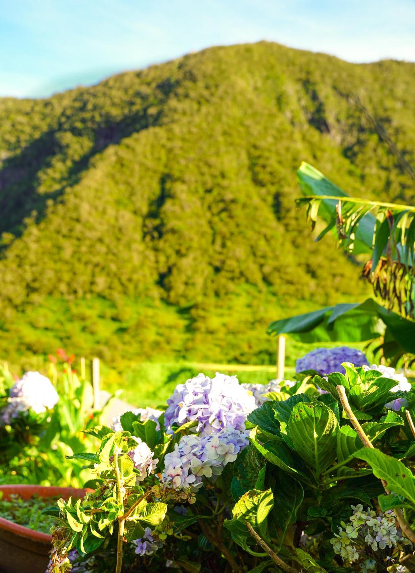 La Villa Dos D'Ane ลาโปเซซิยง ภายนอก รูปภาพ